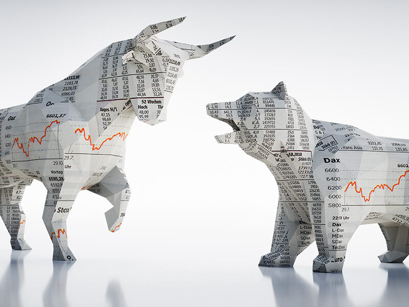 Bulle und Bär, Aktien, Investments